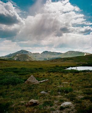 Image post by @bycorrigan on Instagram