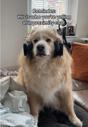 Video post by @xbox on TikTok