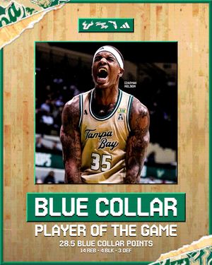 Image post by @usfmbb on Instagram