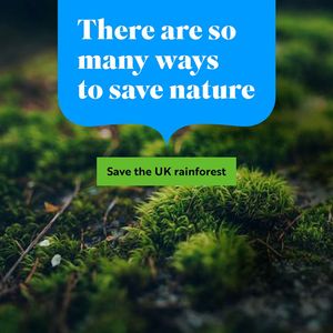 Image post by @rspb on Instagram