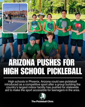 Image post by @thepickleballclinic on Instagram