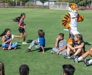Image post by @pacifictigers on Instagram