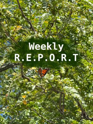 Video post by @emily_katt on TikTok