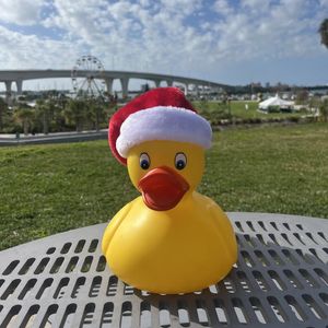 Image post by @myclearwater on Instagram