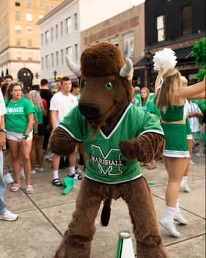 Image post by @marshallu on Instagram