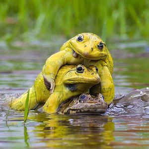 Image post by @bbcearth on Instagram