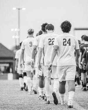 Image post by @jmpicsig on Instagram