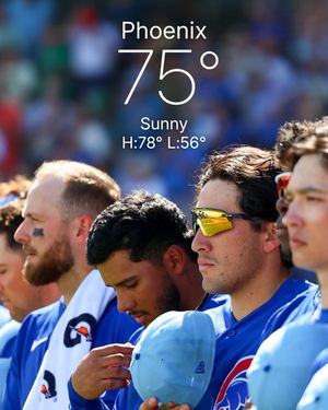 Image post by @thecactusleague on Instagram