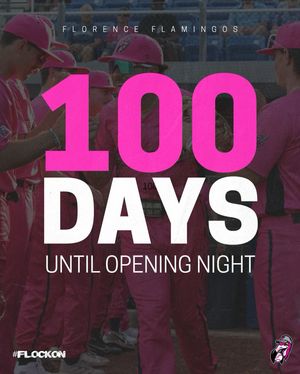 Image post by @floflamingos on Instagram