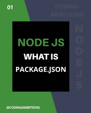 Image post by @codingambitions on Instagram