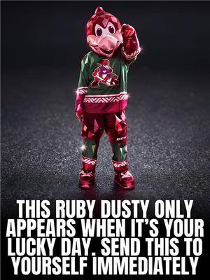 Image post by @roadrunnersahl on Instagram