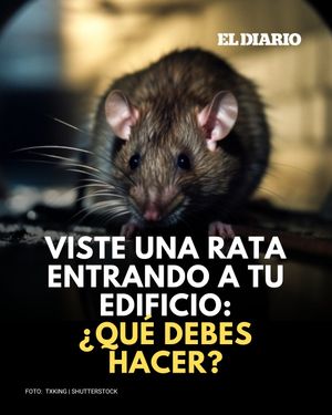 Image post by @eldiariony on Instagram