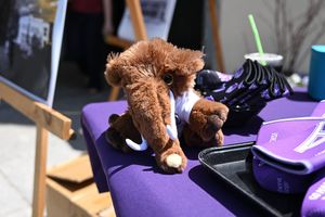 Image post by @amherststudentaffairs on Instagram