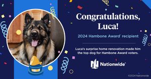 Image post by @company/nationwidepet on LinkedIn