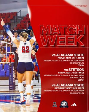 Image post by @fauvolleyball on Instagram