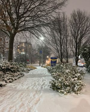 Image post by @hofstrau on Instagram