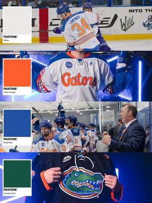 Image post by @ufhockey on Instagram