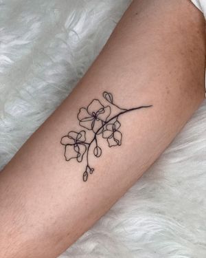Image post by @tamarafalcomer on Instagram