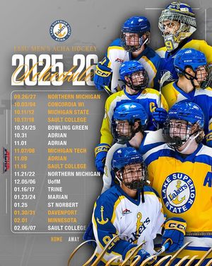 Image post by @lakestatemensachahockey on Instagram