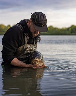 Image post by @brothercarp on Instagram