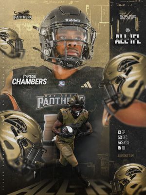 Image post by @panthersifl on Instagram