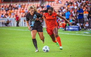 Image post by @howdyitskyle on Twitter