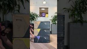 Video post by @shortpocketmonster on YouTube