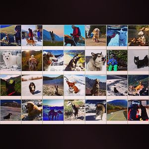Image post by @skicrestedbutte on Instagram
