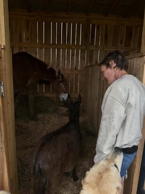 Image post by @oursimple.homestead on Instagram