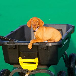 Image post by @louisvillefh on Instagram