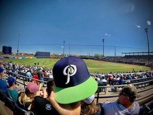 Image post by @picklesbaseball on Instagram