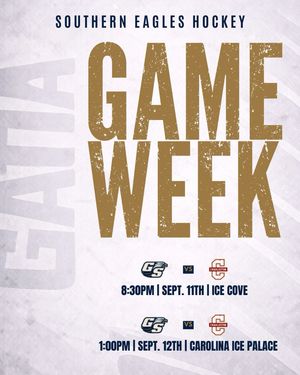 Image post by @gsuhockey on Instagram