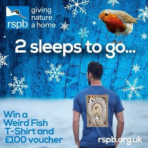 Image post by @rspb on Instagram
