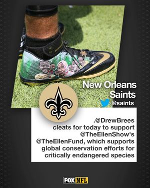 Image post by @nflonfox on Instagram