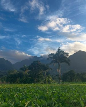 Image post by @cariloha on Instagram