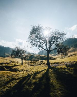 Image post by @edflorespe on Instagram