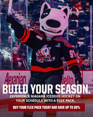 Image post by @ohlicedogs on Instagram