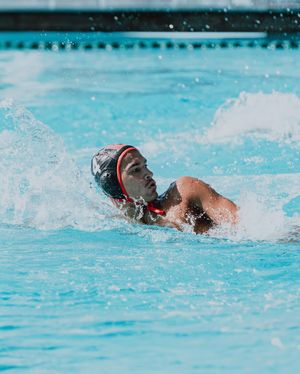 Image post by @lbccaquatics on Instagram