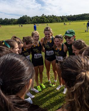 Image post by @tribeathletics on Instagram