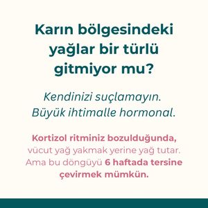 Image post by @asliokender on Instagram