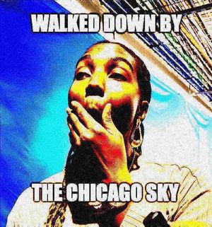 Image post by @chicagosky on Instagram