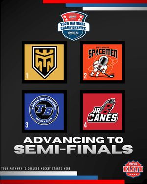 Image post by @usphlhockey on Instagram