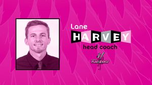 Image post by @FloFlamingos on Twitter