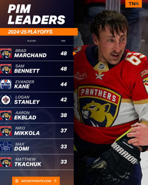 Image post by @hockeyfights on Instagram