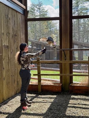 Image post by @psuoutreach on Instagram