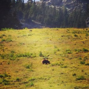 Image post by @mtnorquay on Instagram