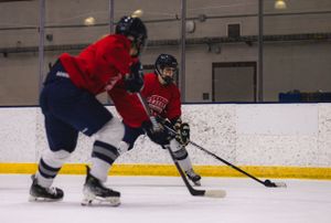 Image post by @stahawkswhockey on Instagram