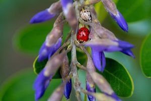 Image post by @txextension on Instagram