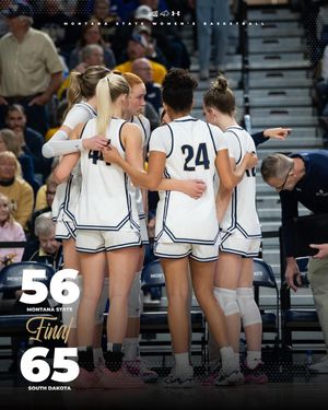 Image post by @msubobcatswbb on Instagram