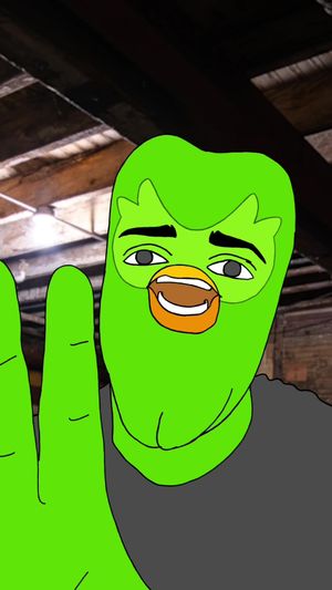 Video post by @duolingo on TikTok